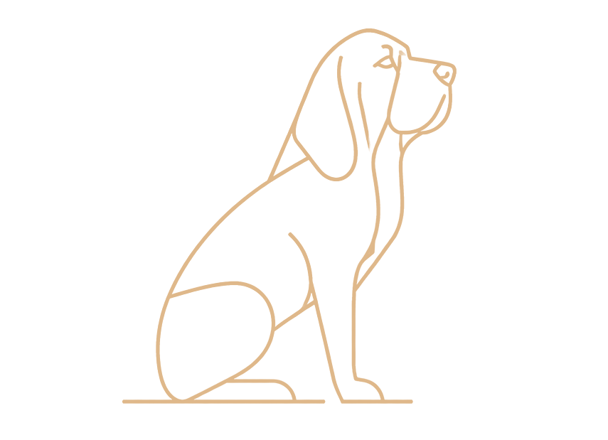 HoundDog Advisory